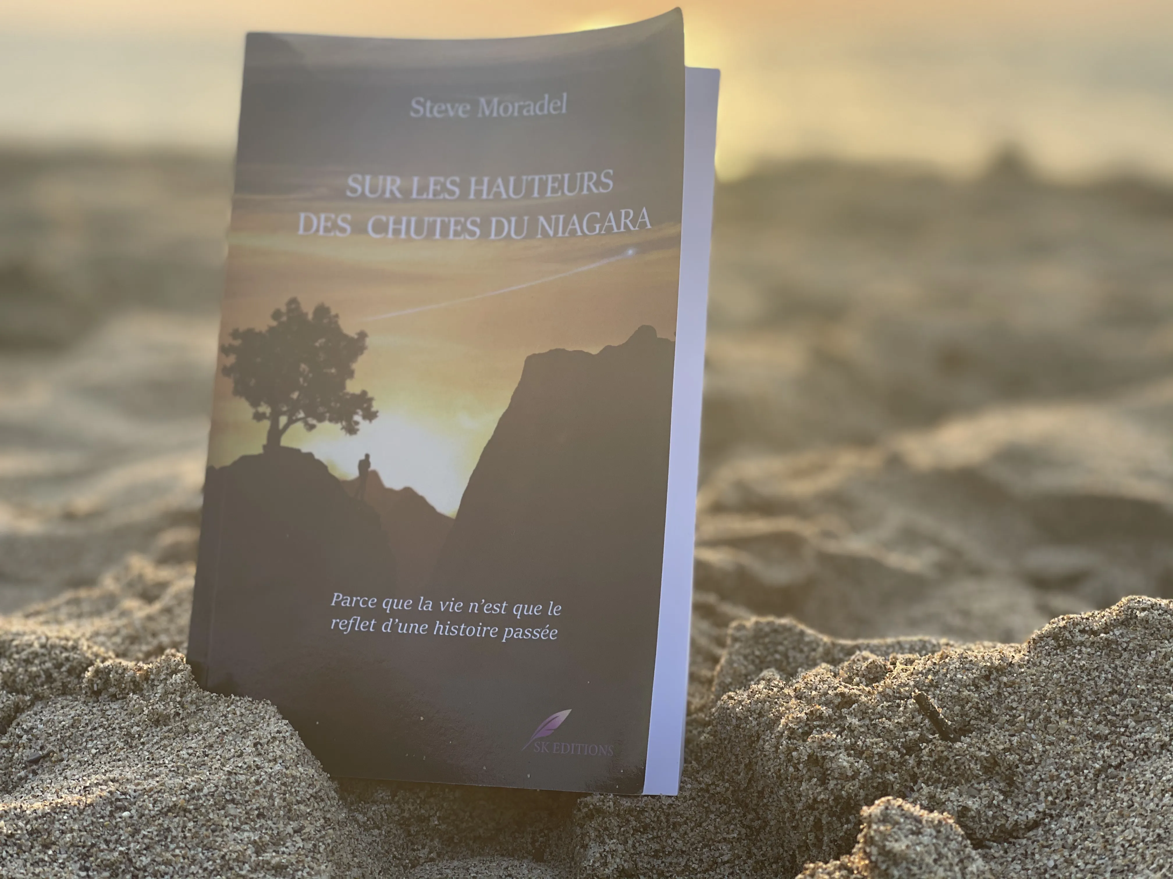 Sur les hauteurs des chutes du Niagara – Steve Moradel